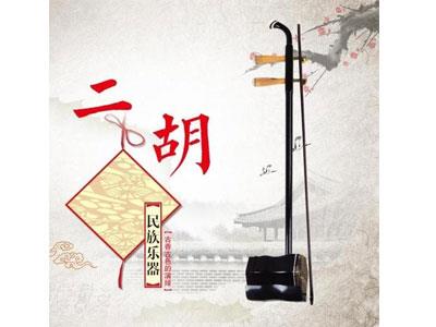 招聘淮南二胡家教老师